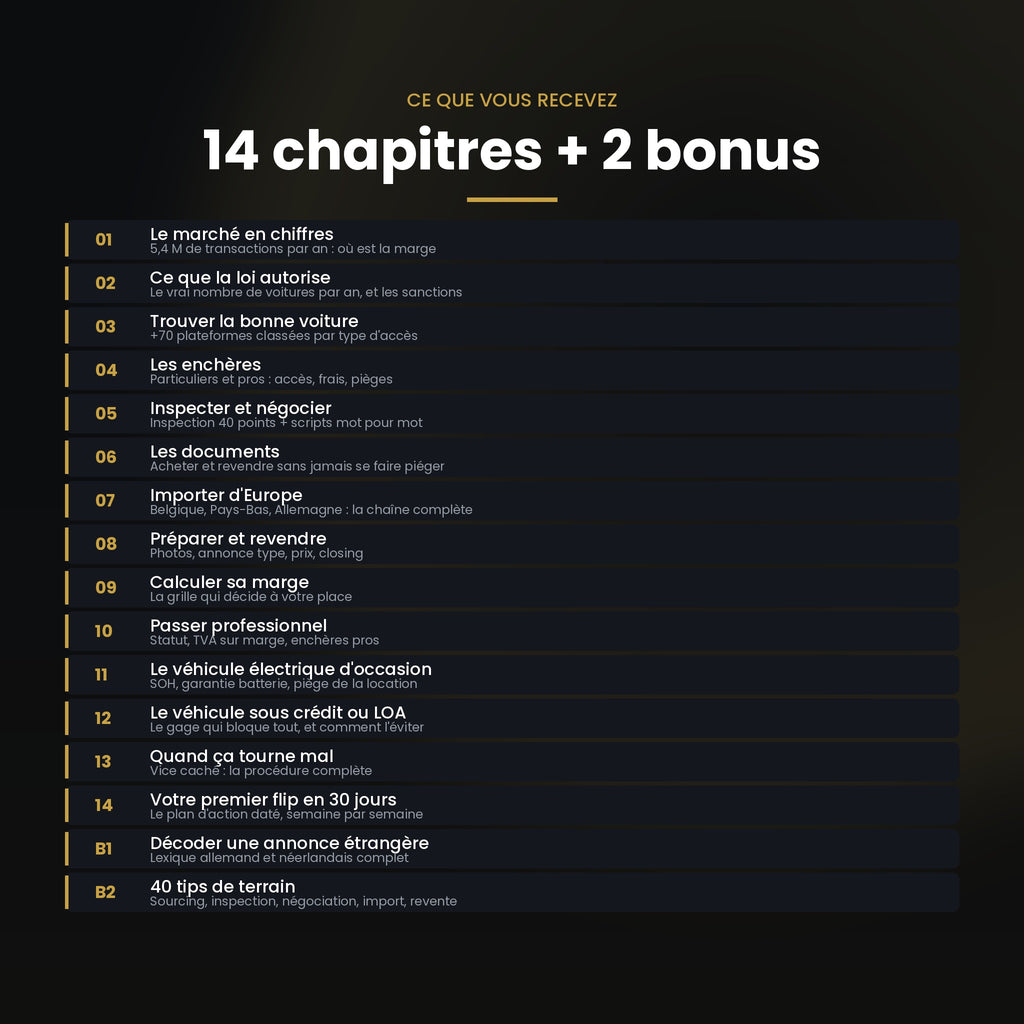 Sommaire du guide : 14 chapitres et 2 bonus détaillés