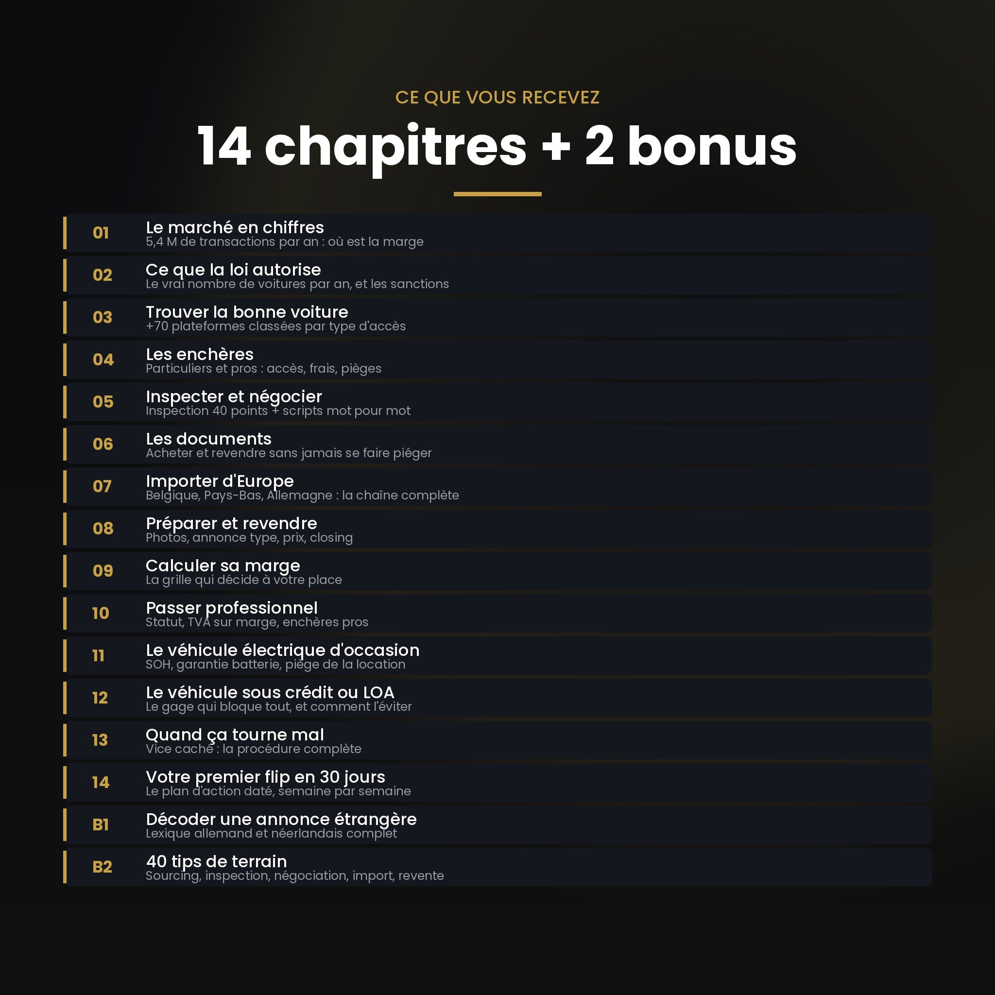 Sommaire du guide : 14 chapitres et 2 bonus détaillés