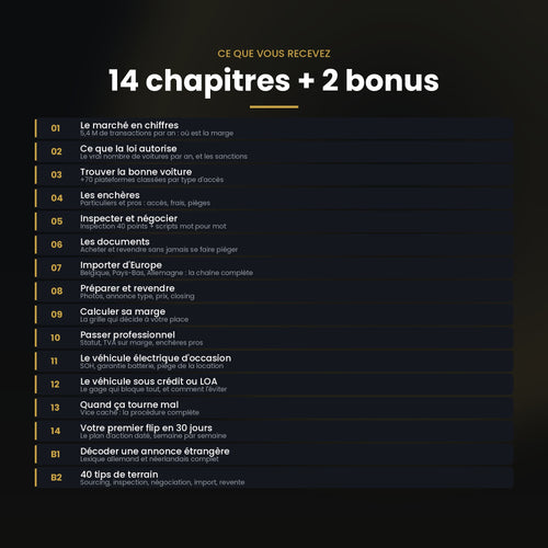 Sommaire du guide : 14 chapitres et 2 bonus détaillés